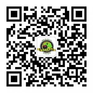 耶巴马黛茶微信公众号