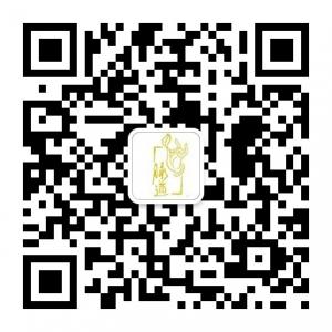 庆阳脉道元经络养微信公众号
