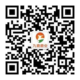 北京九鹿鹿业原生态健康产品微信公众号