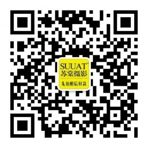 三亚苏棠婚纱摄影微信公众号