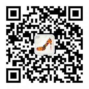 爱丽维斯鞋业微信公众号