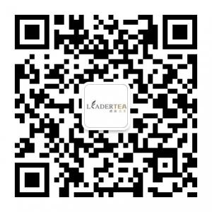 leaderstea微信公众号