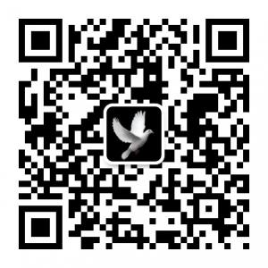 快乐的小白鸽微信公众号