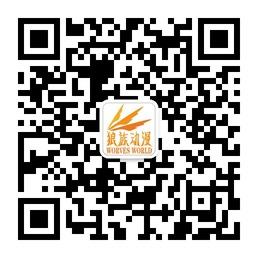 动漫手办周边玩具批发微信公众号
