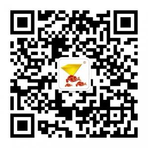 中国传统文化公众微信公众号