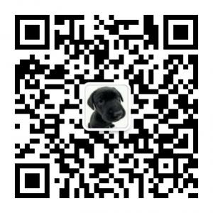 二月台上的芝麻微信公众号