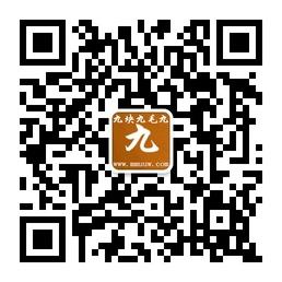 九块九毛九微信公众号