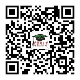 内蒙古人才微信公众号