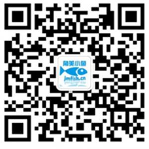 角美小鱼网微信公众号