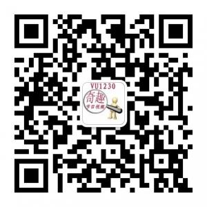奇趣节目视频微信公众号
