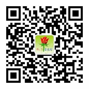 囡波湾教学网微信公众号