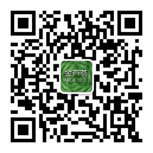 青岛金芦荟微信公众号