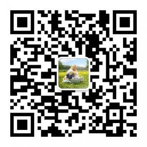 童乐幼儿园BabyHome微信公众号