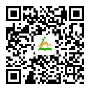 金铭升学规划研究微信公众号