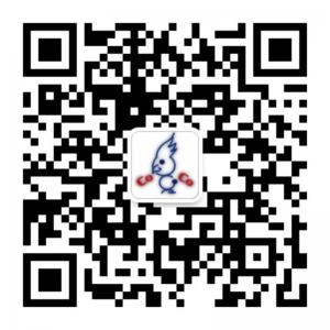 coco澳洲少年儿童英语