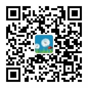 电脑族健康微信公众号