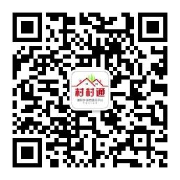 <b>莆田村村通</b>微信公众号