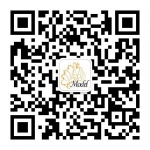 懂帅国际职业模特班微信公众号