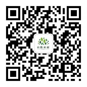 自然承诺面膜微信公众号