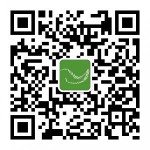 上海长生树微信公众号