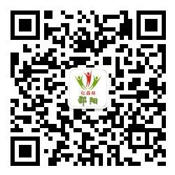 邵阳红森林自媒体平台微信公众号