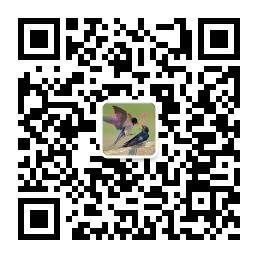 <b>壹碗情烫面</b>微信公众号