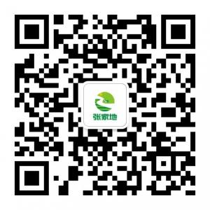 张家地花茶微信公众号