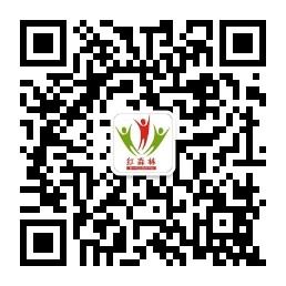 红森林自媒体联盟微信公众号