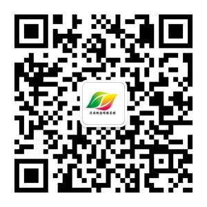 济南概念网络营销微信公众号