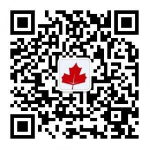 南阳北美枫情微信公众号