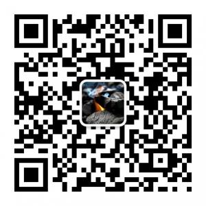 卖女孩的小火柴微信公众号