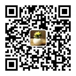 室内创意花盆微信公众号