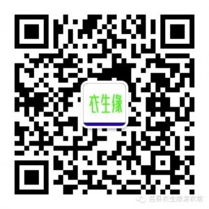 莒县衣生缘浣衣坊微信公众号