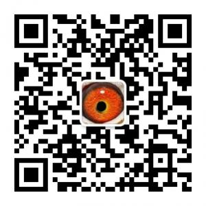 信鸽这些事微信公众号