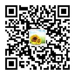 彩云之南的向日葵微信公众号