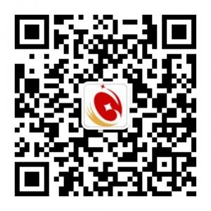 金团网车险微信公众号