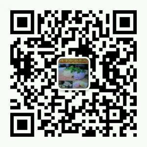 味你而来2014微信公众号