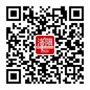 洛阳微生活微信公众号