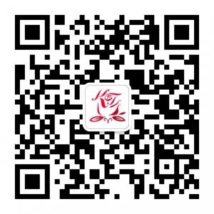 玫瑰缘手机交友微信公众号