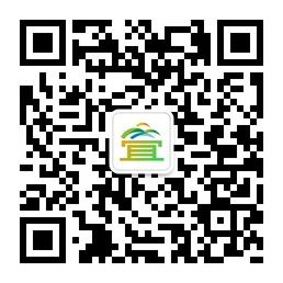 dieshiqiao微信公众号