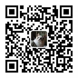 艾米丝Ragdoll布偶猫舍微信公众号