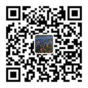 微盟网创盛世这传微信公众号