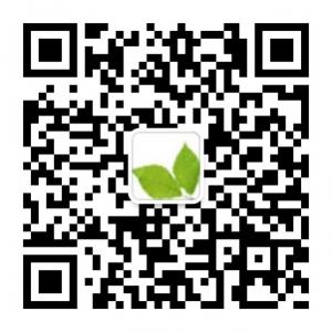 流水琴川微公益微信公众号