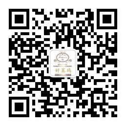 好莱坞婚纱摄影微信公众号