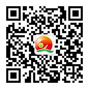 <b>齐鲁儿女网</b>微信公众号