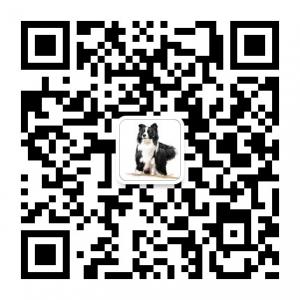 边牧家长俱乐部微信公众号