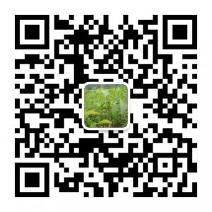 核桃苗-山西核桃苗-薄皮核桃苗微信公众号