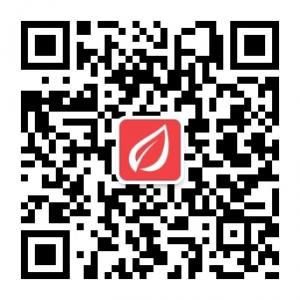 北京香草招聘-名企微信公众号