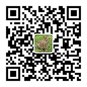 杂交野兔种兔野兔微信公众号