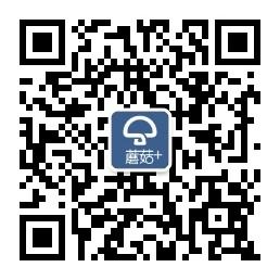 蘑菇加总部微信公众号